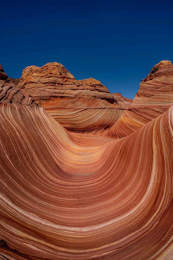 the wavy rock formations are red and brown