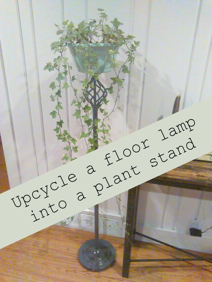 there is a plant that is growing out of a lamp on the floor next to a table