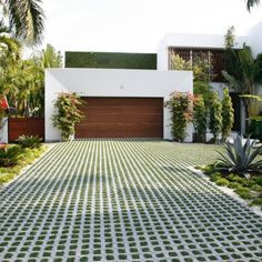 a house with plants and trees in the front yard