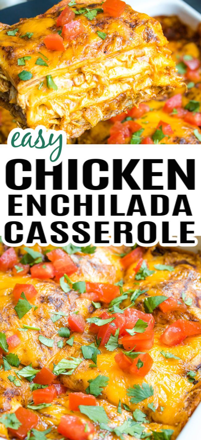 A baking dish with chicken enchilada casserole in a baking dish, topped with cilantro and tomatoes. Green Chili Chicken Enchilada Casserole, Easy Enchilada Casserole, Easy Chicken Enchilada Casserole, Easy Chicken Enchiladas, Easy Chicken Enchilada Recipe, Chicken Enchilada Casserole Recipe, Chicken Enchilada Bake, Green Chili Chicken, Enchilada Casserole Recipes