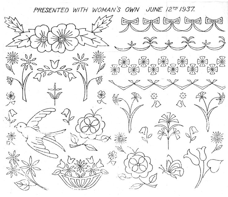 some flowers and birds are drawn on paper