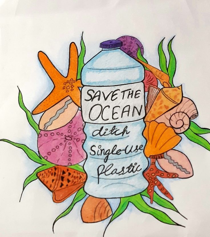 an image of save the ocean with sea shells and starfish