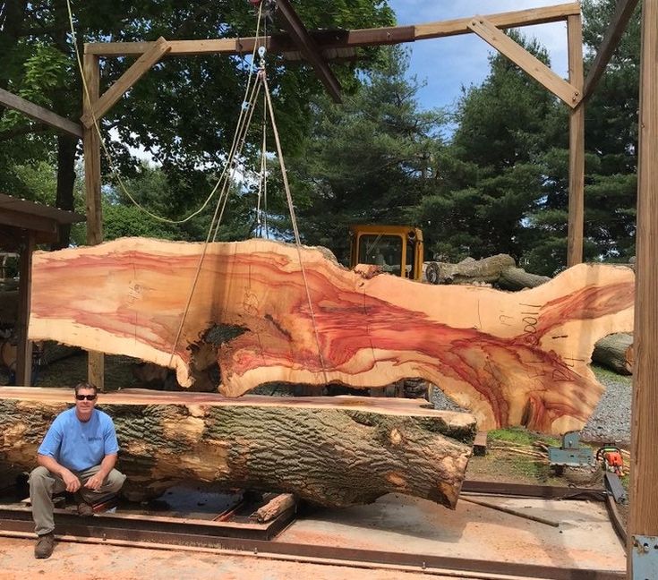 a man sitting on top of a wooden bench next to a large tree trunk in a forest