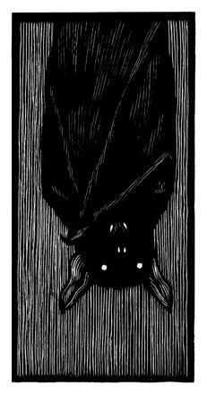 a black and white drawing of a bat hanging upside down on a doorknob