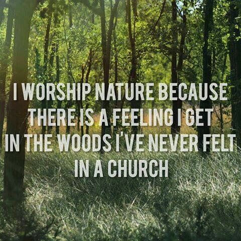 Nature is my church ☁️ Pagan Quotes, Witch Quotes, Wiccan Witch, M Instagram, A Course In Miracles, Wicca Witchcraft, Pagan Witch, Green Witch, Nature Quotes