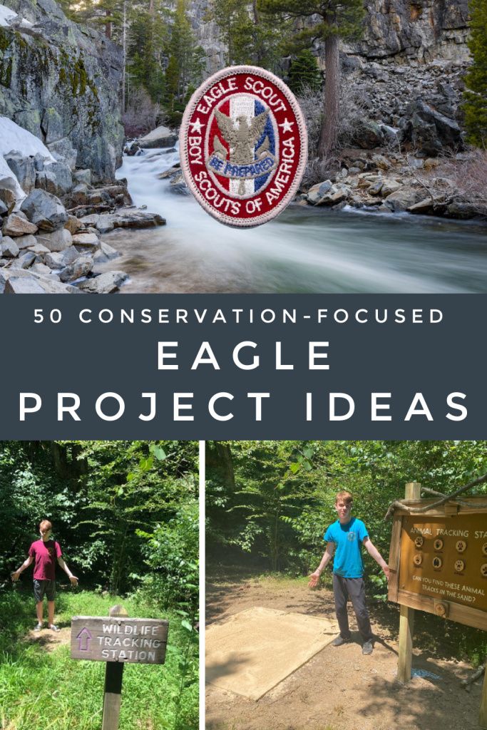 the eagle project is located in front of a mountain stream and surrounded by trees, rocks,