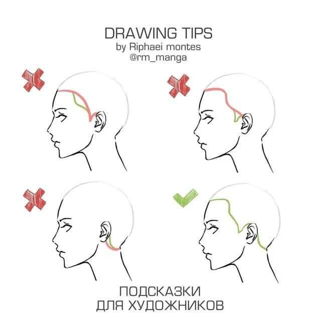 drawing tips for the head and neck, with different angles to show how to draw