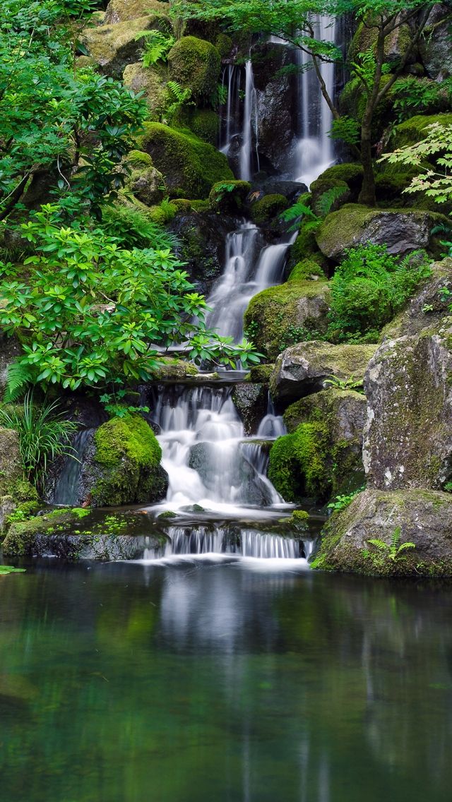 a small waterfall in the middle of a forest