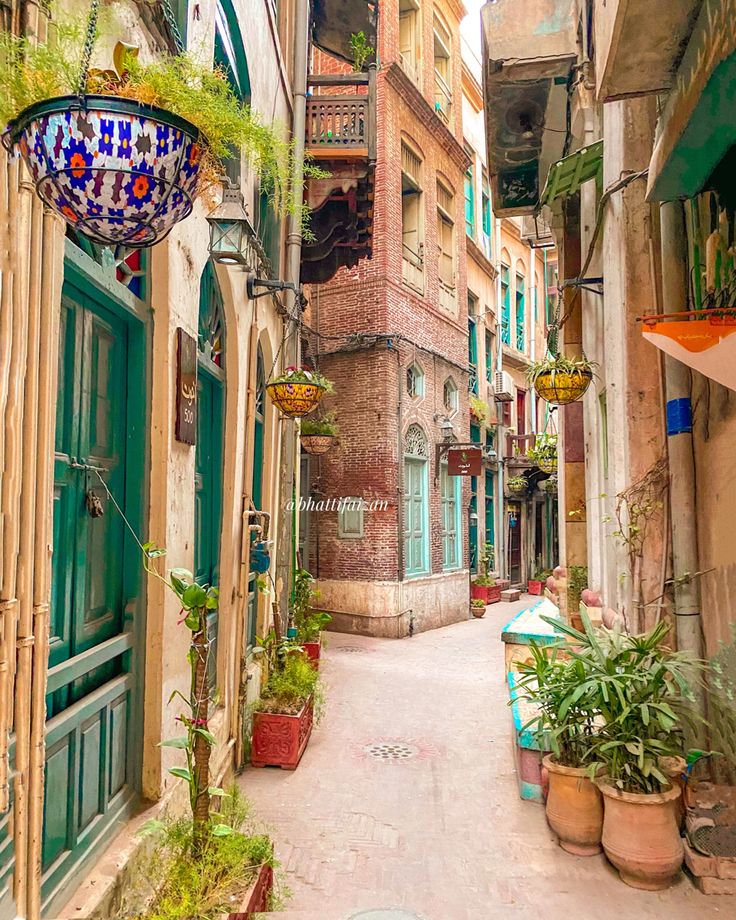 an alleyway with potted plants and hanging lights on the side of each building