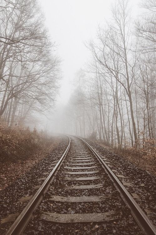 a train track in the middle of a forest on a foggy day