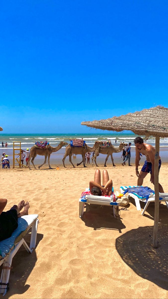 two people laying on lounge chairs under an umbrella at the beach with camels in the background