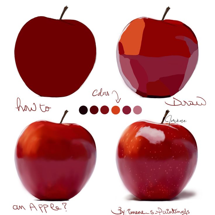 an apple is shown with different colors and sizes to choose for it's flavor