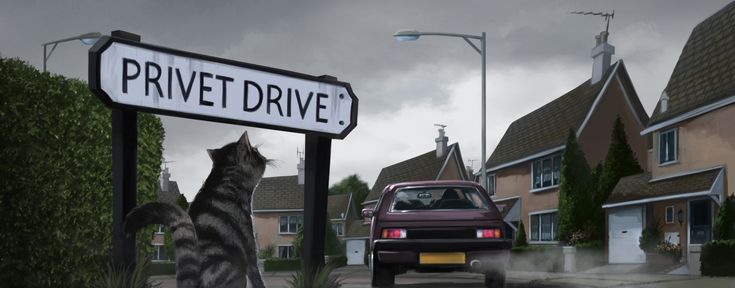 a car driving past a street sign that says private drive with two cats on it