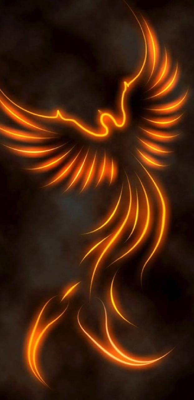 an orange bird flying through the air with flames in it's wings, on a black background