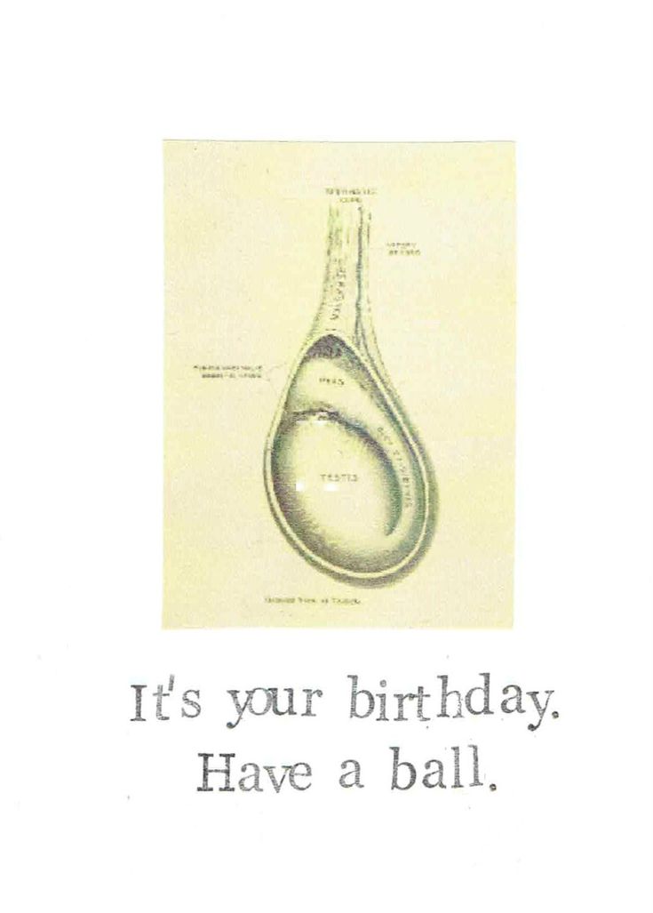 an image of a birthday card with the words, it's your birthday have a ball