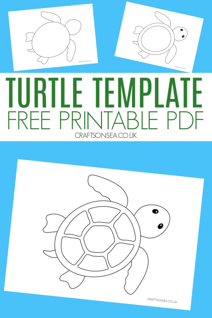 turtle template for kids to color and print with the words, free printable coloring pages