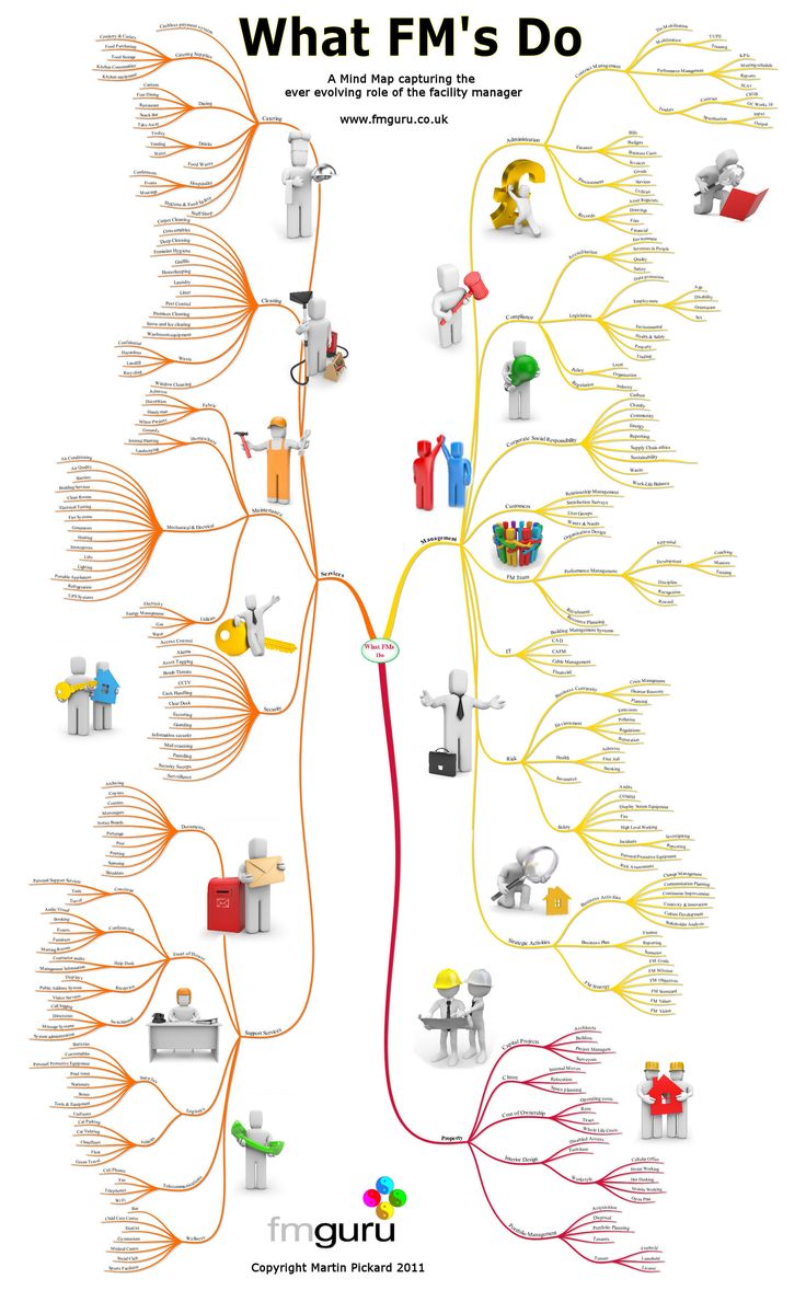 the mind map for what fm's do