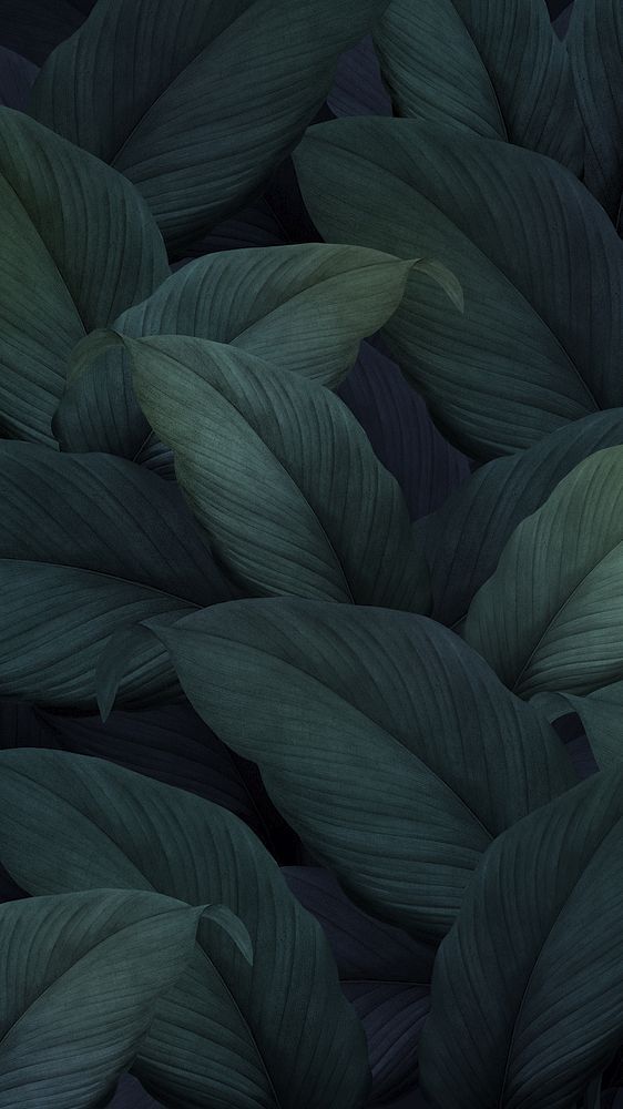 green and purple leaves are shown in this artistic photo, with the dark blue background