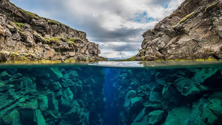 an underwater view of the ocean with rocks and grass growing on it's sides