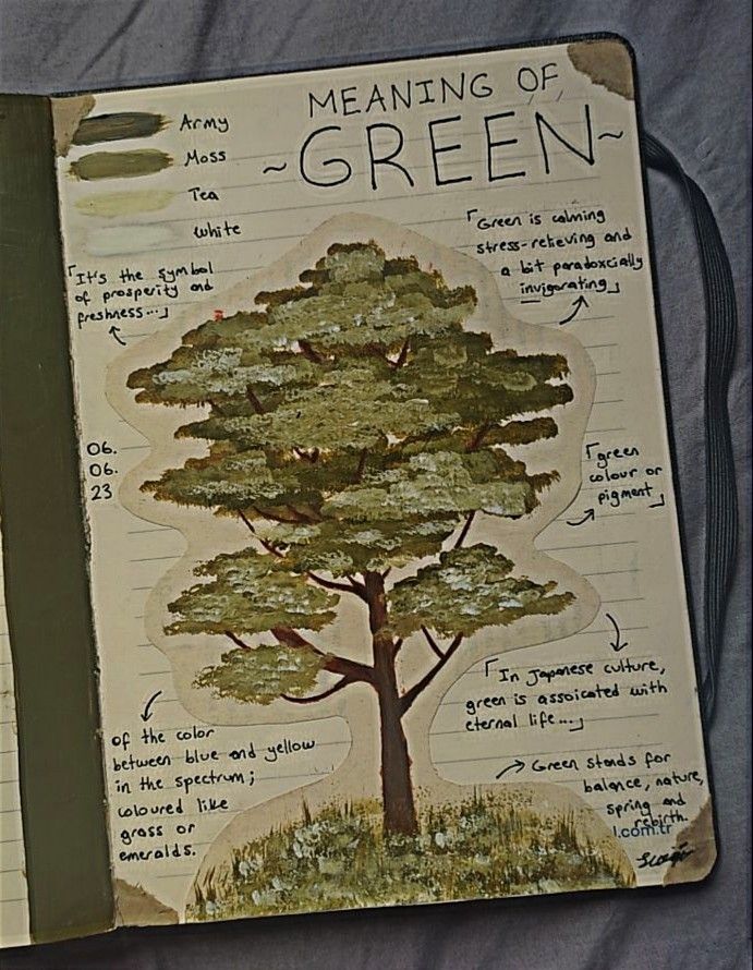 an open notebook with a drawing of a tree on it