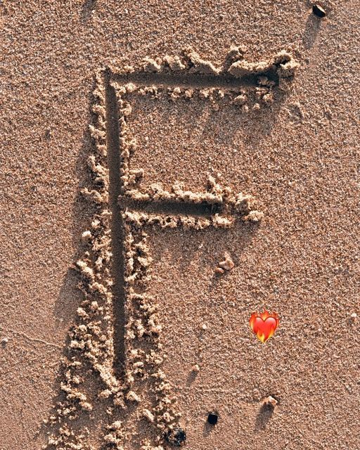 the letter f is drawn in the sand with an orange flower on it's side