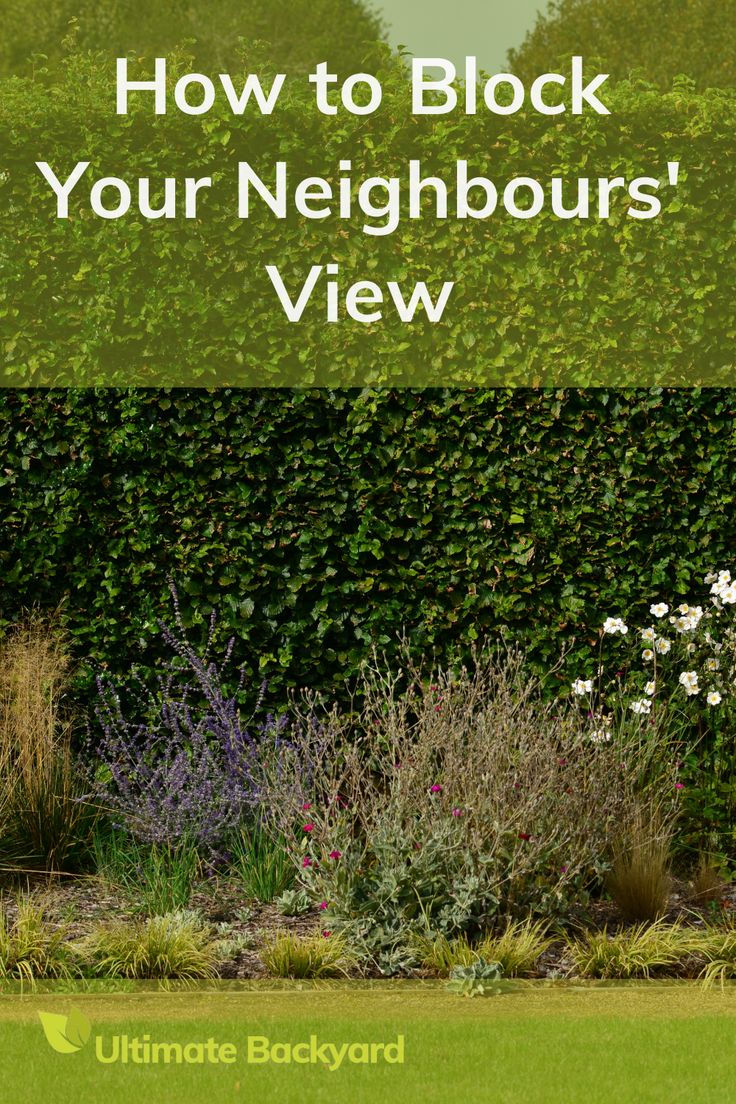 an image of a garden with the words how to block your neighbors's view