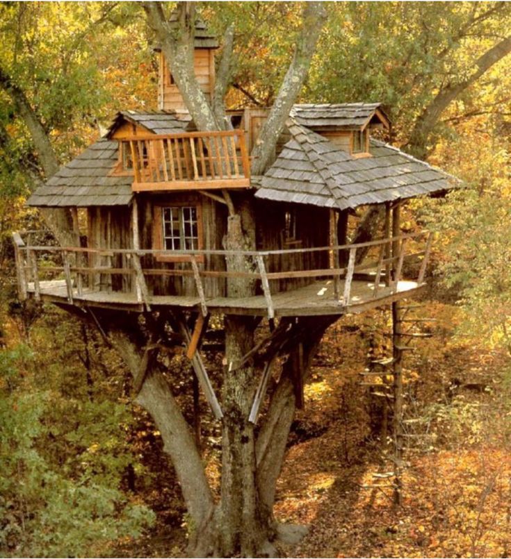 a tree house built into the side of a hill