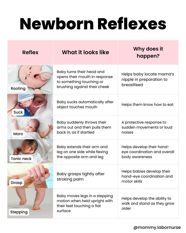 Did you know that when your sweet baby is born they come into this world with 6 distinct newborn reflexes? Today we’re going to dive in head first and learn all about newborn reflexes! Reflexes Of Newborn, Newborn Reflexes, Newborn Organization, Peds Nursing, Nursing Hacks, Newborn Nursing, Midwifery Student, Mommy Hacks, Labor Delivery Nursing