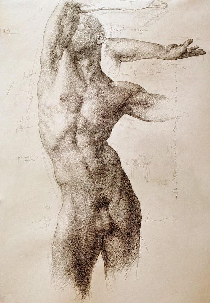 a drawing of a man's back and arm, with his arms stretched out