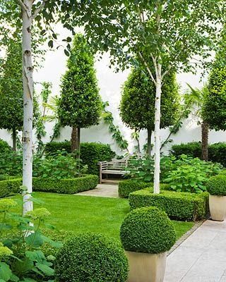 an outdoor garden with trees, bushes and benches