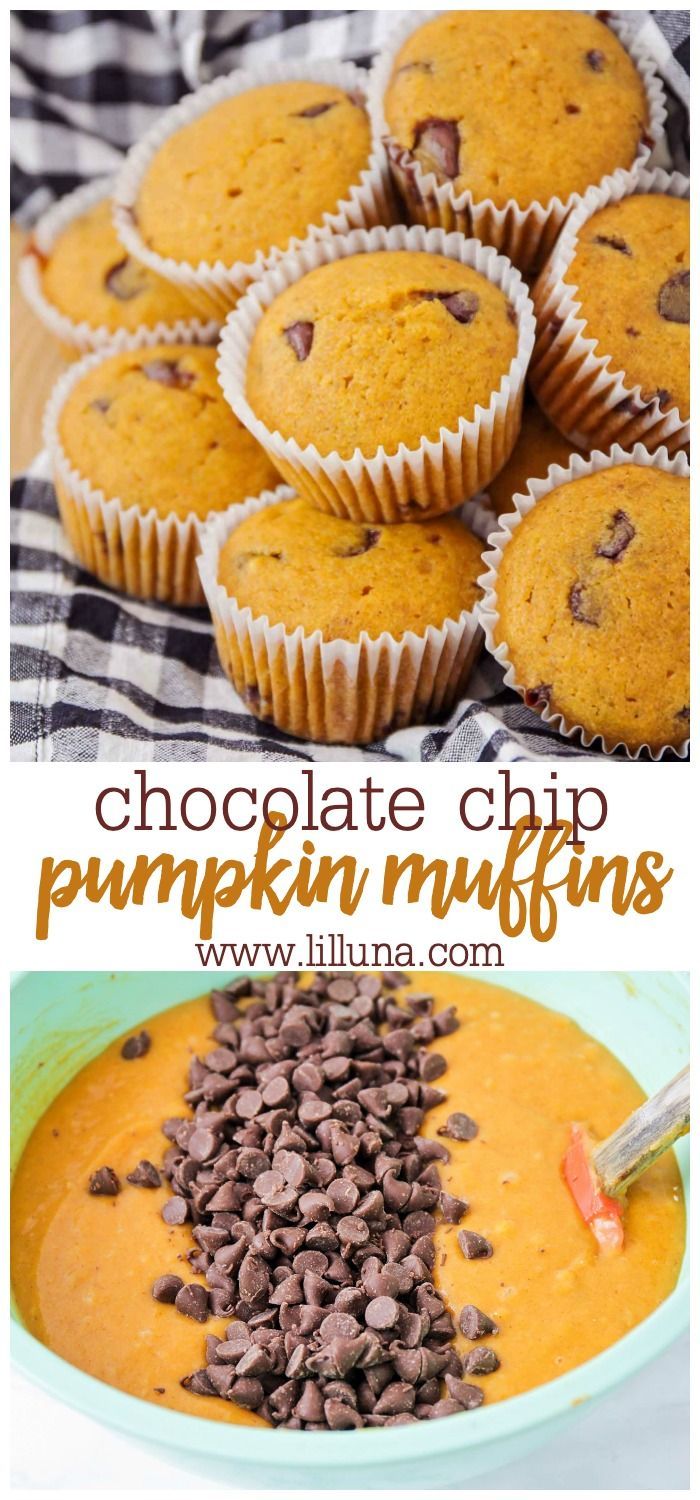 chocolate chip pumpkin muffins are the perfect treat for fall