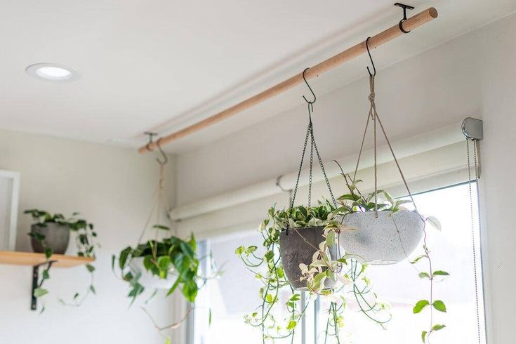 some plants hanging from hooks in a kitchen