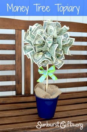 money tree topiary in a blue pot on a wooden bench with text overlay