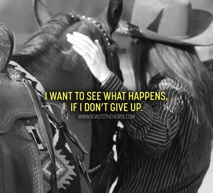 a woman is petting a horse with the caption i want to see what happens it don't give up