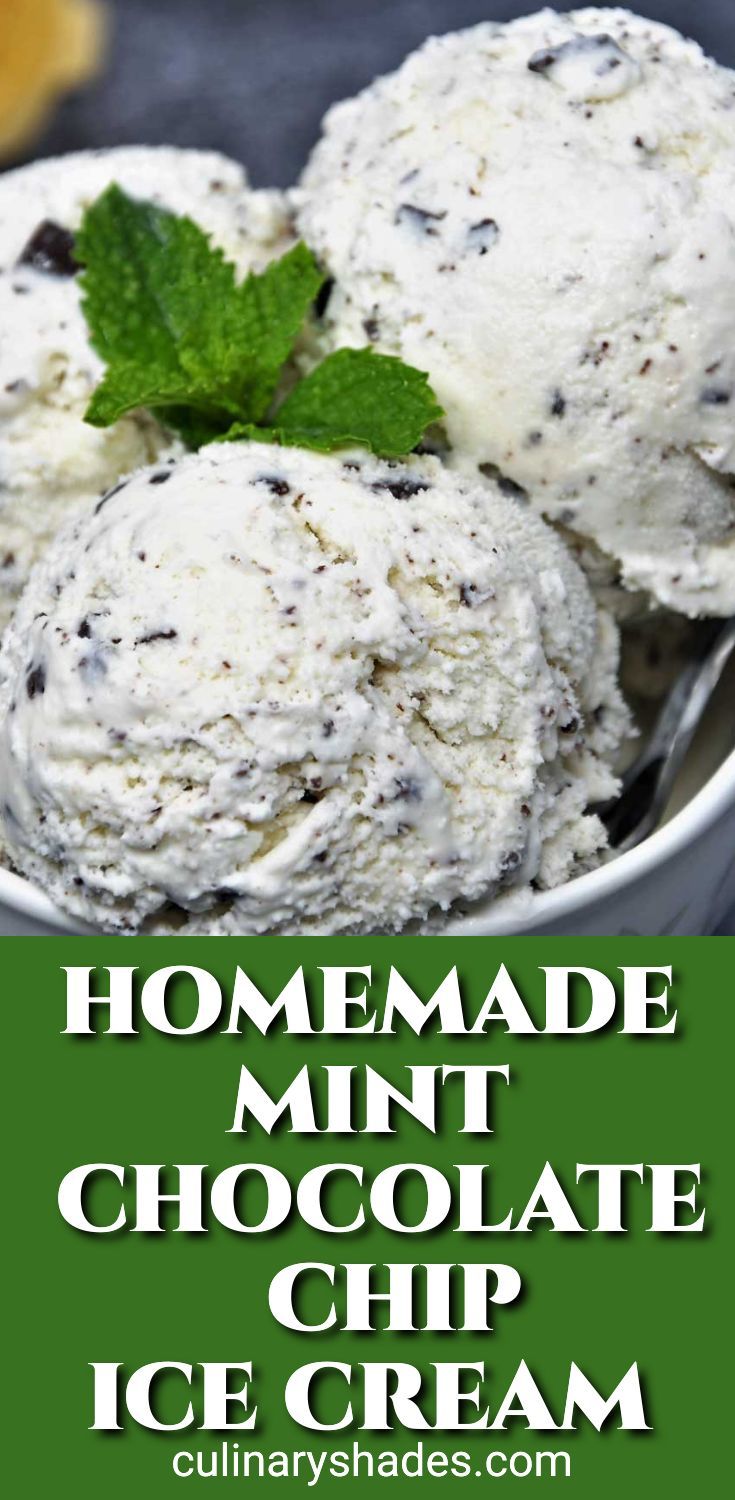 homemade mint chocolate chip ice cream in a bowl with text overlay that reads homemade mint chocolate chip ice cream