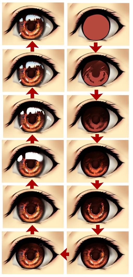 the different types of eyes and how they are used to make them look like they're