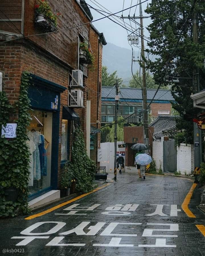 a person with an umbrella walking down the street