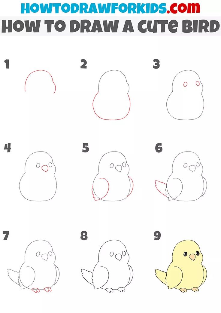 how to draw a cute cartoon bird step by step drawing instructions for kids and adults