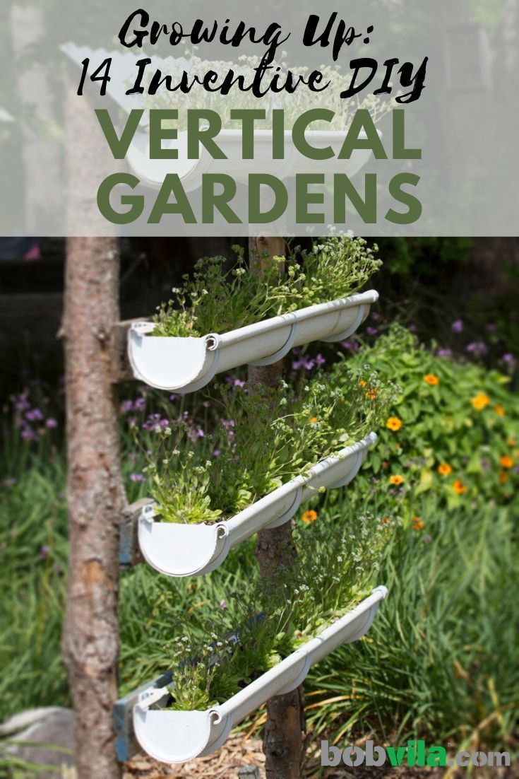 Start a garden outdoors even if you don't have a yard or the space. Check out these creative vertical garden DIY ideas. | Growing Up: 14 Inventive DIY Vertical Gardens Vertical Planting Ideas, Medicinal Flowers, Dirt Therapy, Backyard Planters, Vertical Planting, Vertical Garden Plants, Succulent Frame, Cedar Posts, Grow Herbs