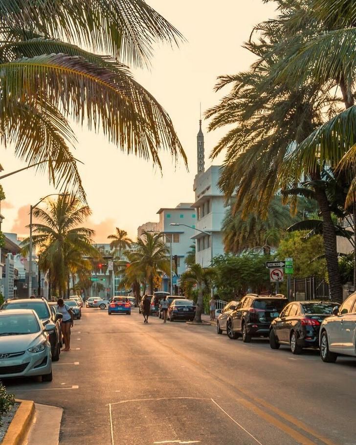 cars parked on the side of a street with palm trees in the foreground and people walking down the sidewalk