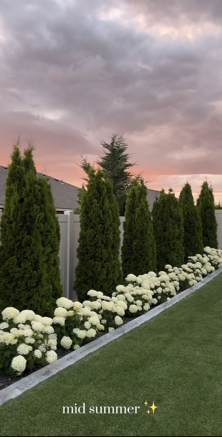 white flowers line the edge of a long row of trees in front of a house