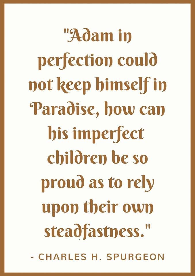 a quote from charles h spurson that reads,'adam in perfectionon could not keep himself