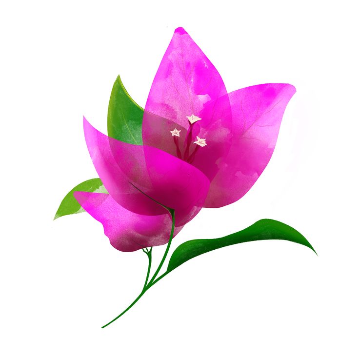 a pink flower with green leaves on it