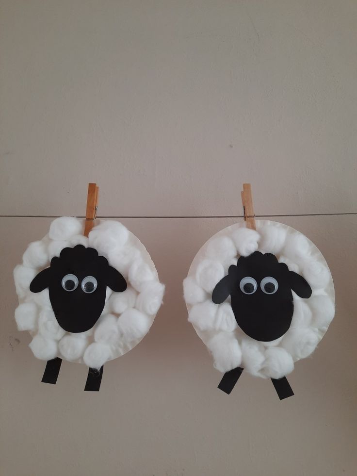 two black and white sheep hanging from clothes pins