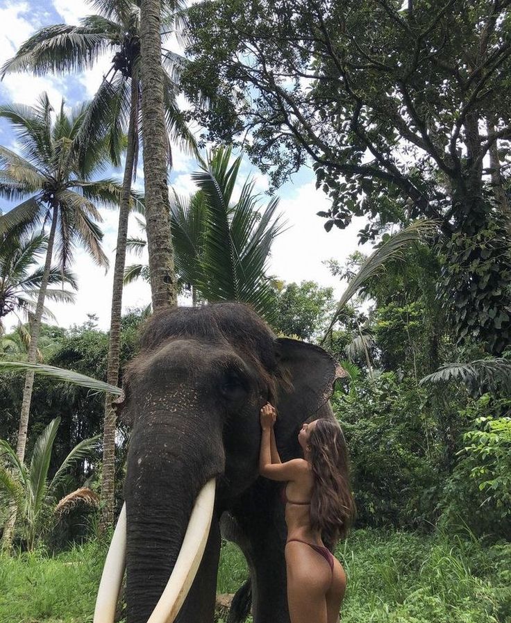 a woman touching an elephant's trunk with its tusks in the jungle