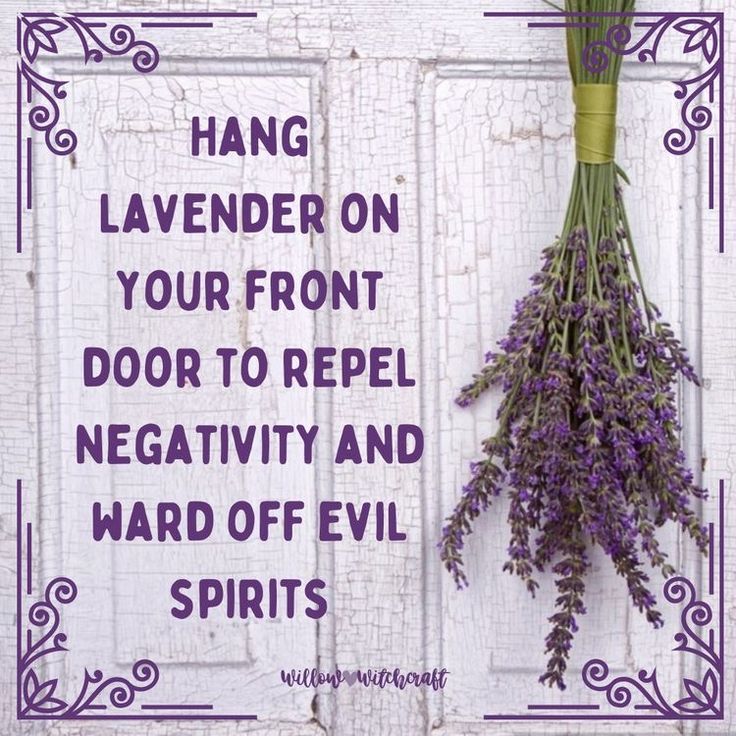 Perfect Spring decor for the fromt door. 😉 Wall Plants, Plants Stand, Ward Off Evil Spirits, Witch Herbs, Wiccan Magic, Witch Spirituality, Magic Spell Book, Magic Herbs, Wiccan Spell Book