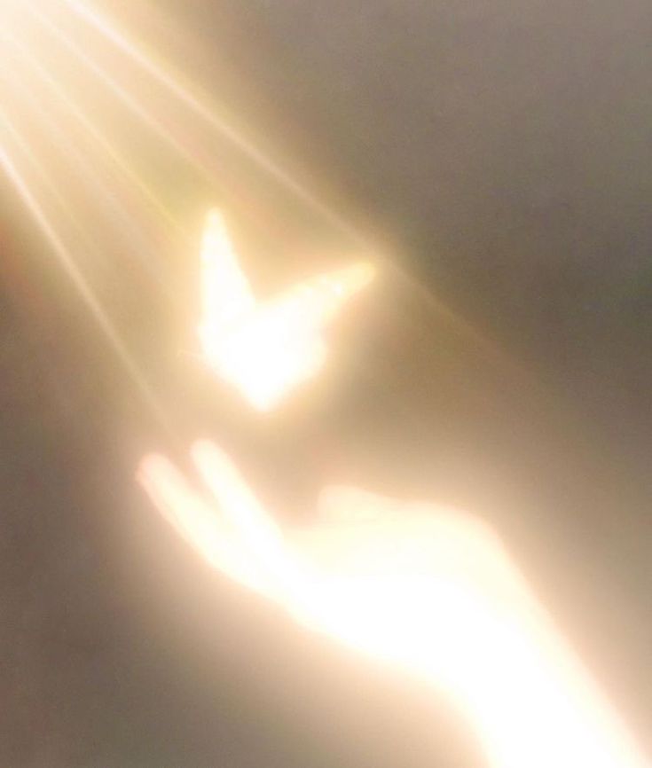 the sun shines brightly on a person's arm and hand as they fly through the air