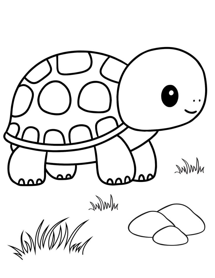 a turtle that is walking in the grass