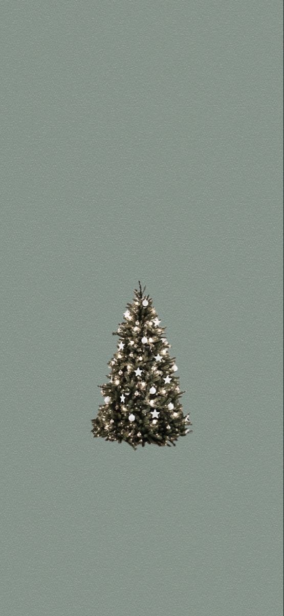 a small christmas tree in the middle of a gray sky