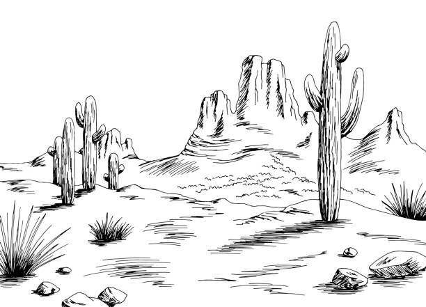 a black and white drawing of desert scene with cacti, rocks and mountains